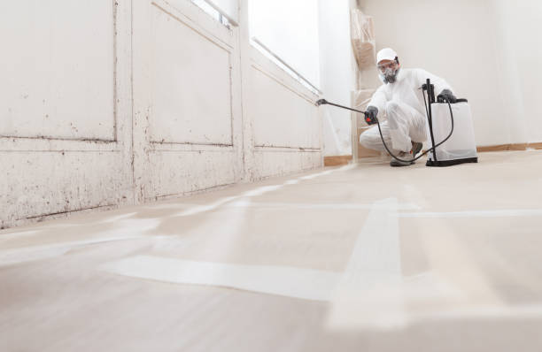 24/7 Emergency Attic Mold Remediation experts in Yorktown, VA